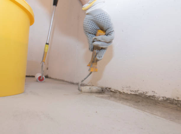 Best Termite Inspection and Treatment  in Westminster, CO